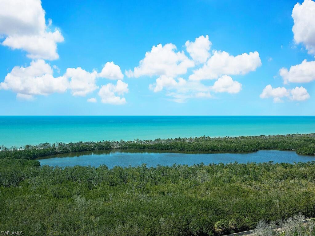 6573 Marissa Loop, Unit 2005 Naples, FL 34108 - Photo 24 of 25 a view of lake and mountain