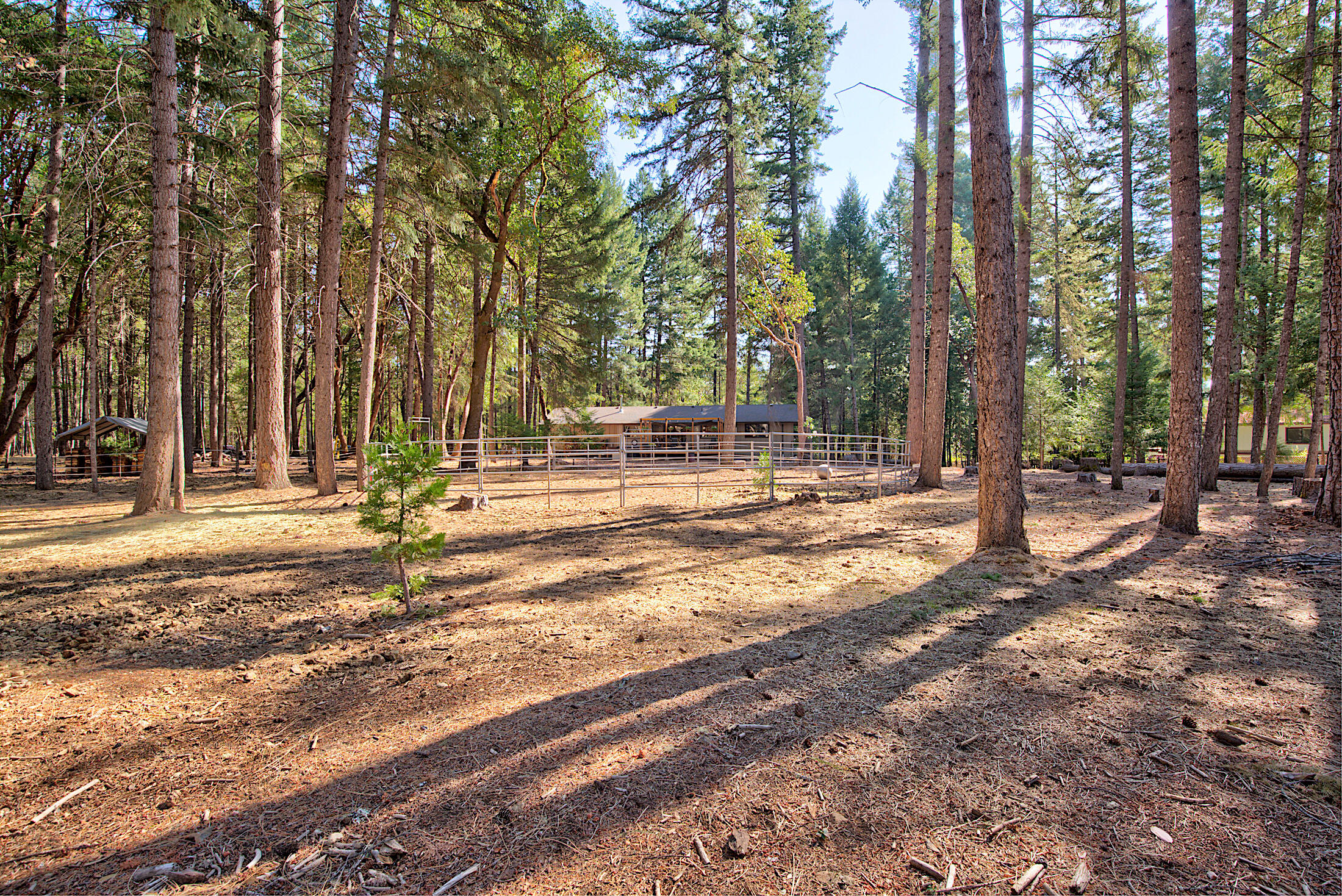150 Combs Drive Merlin, OR 97532 - Photo 33 of 58 125A9558_59_60_61_62