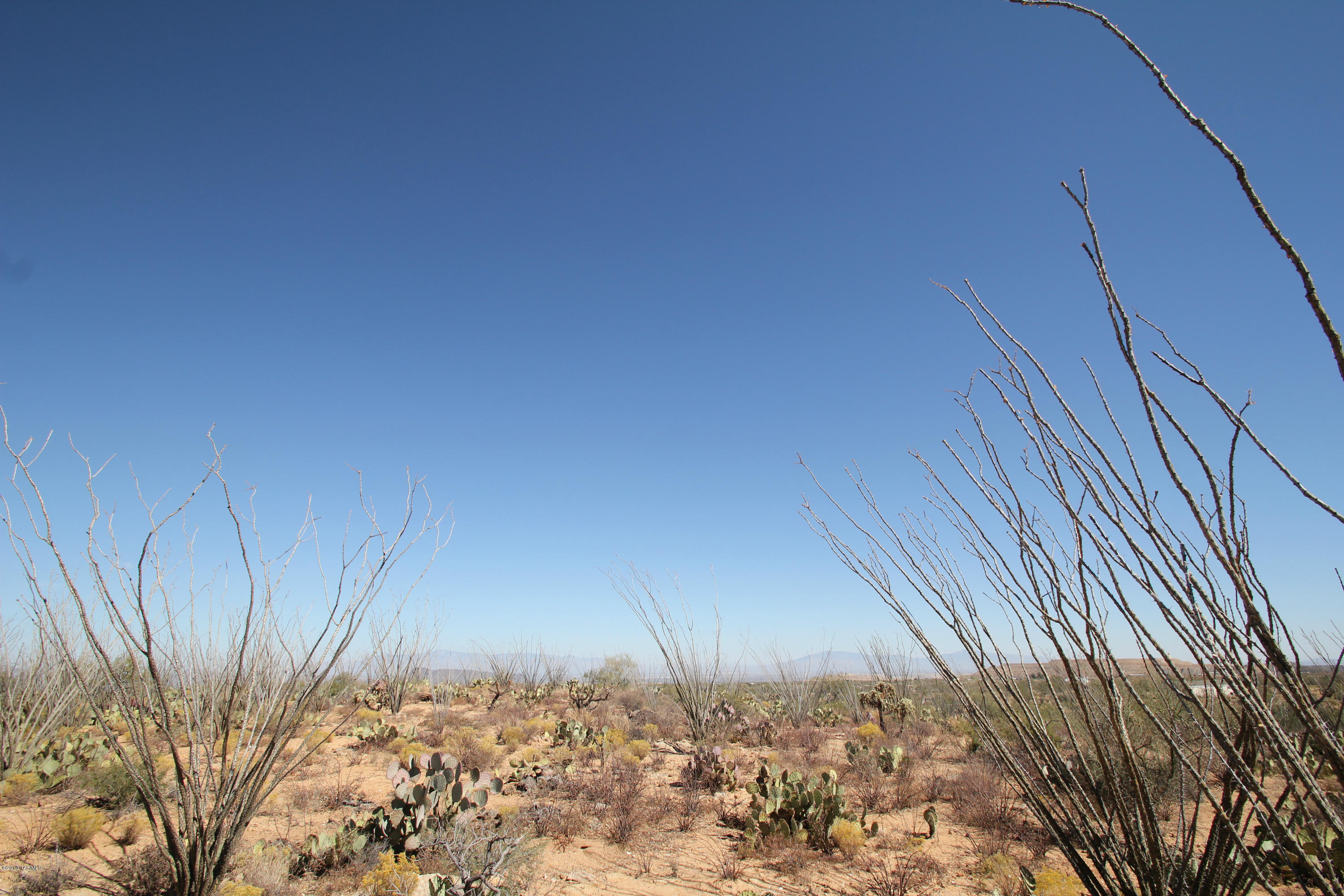 Pinto Road Sahuarita, AZ 85629 - Photo 3 of 17