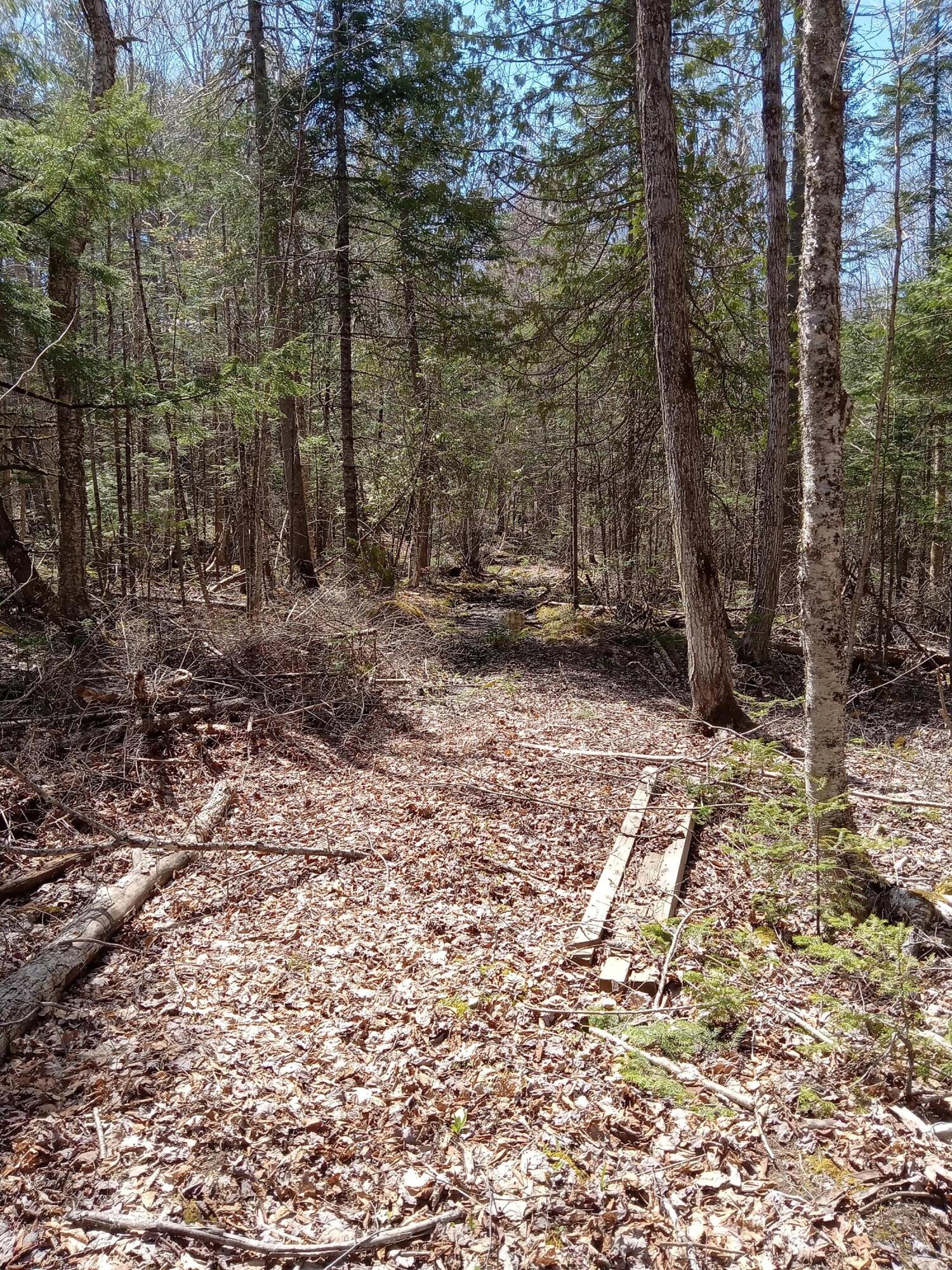 132 Village Road Jackson, ME 04921 - Photo 14 of 43 20240507_134352