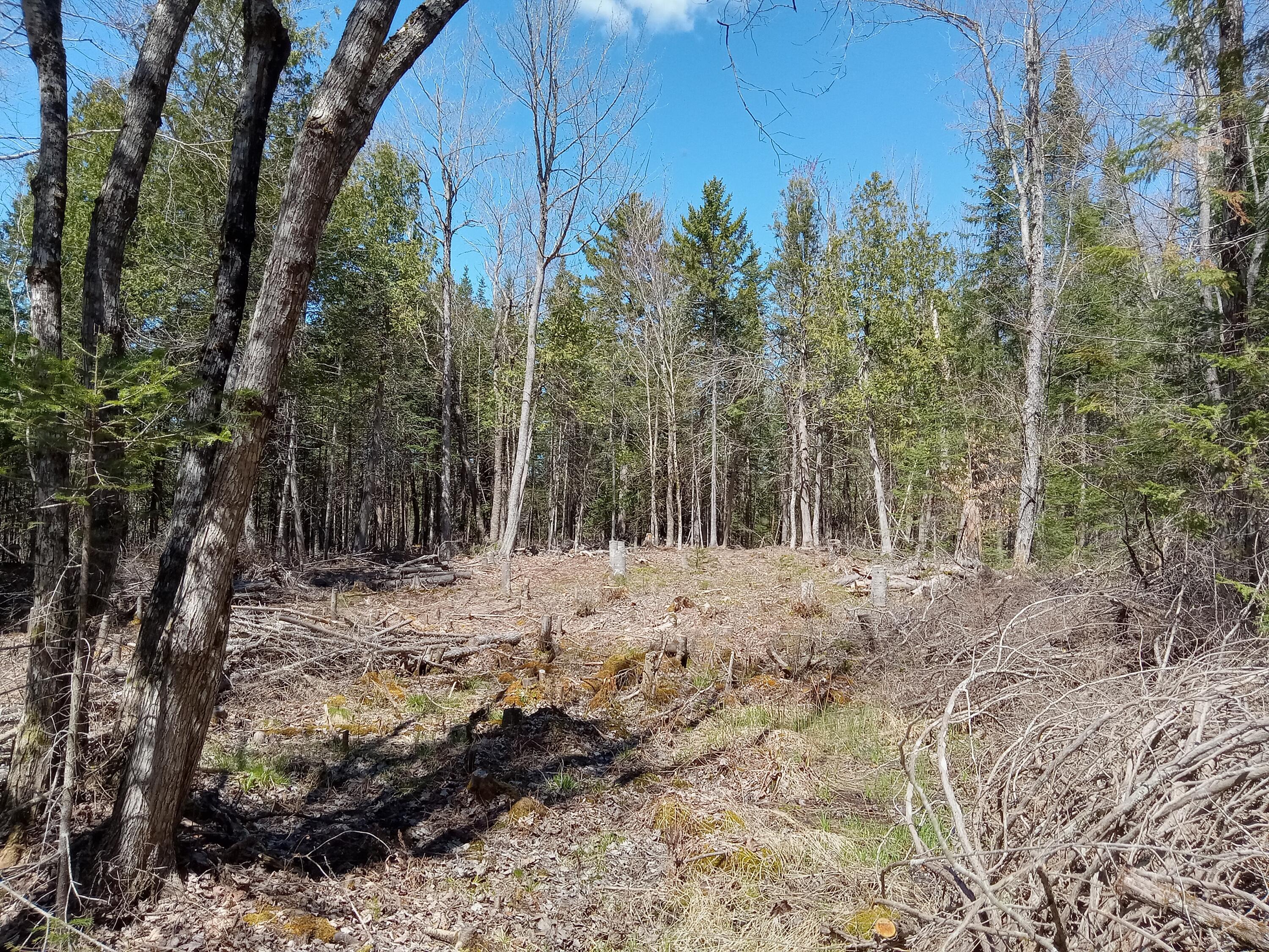 132 Village Road Jackson, ME 04921 - Photo 15 of 43 20240507_140001