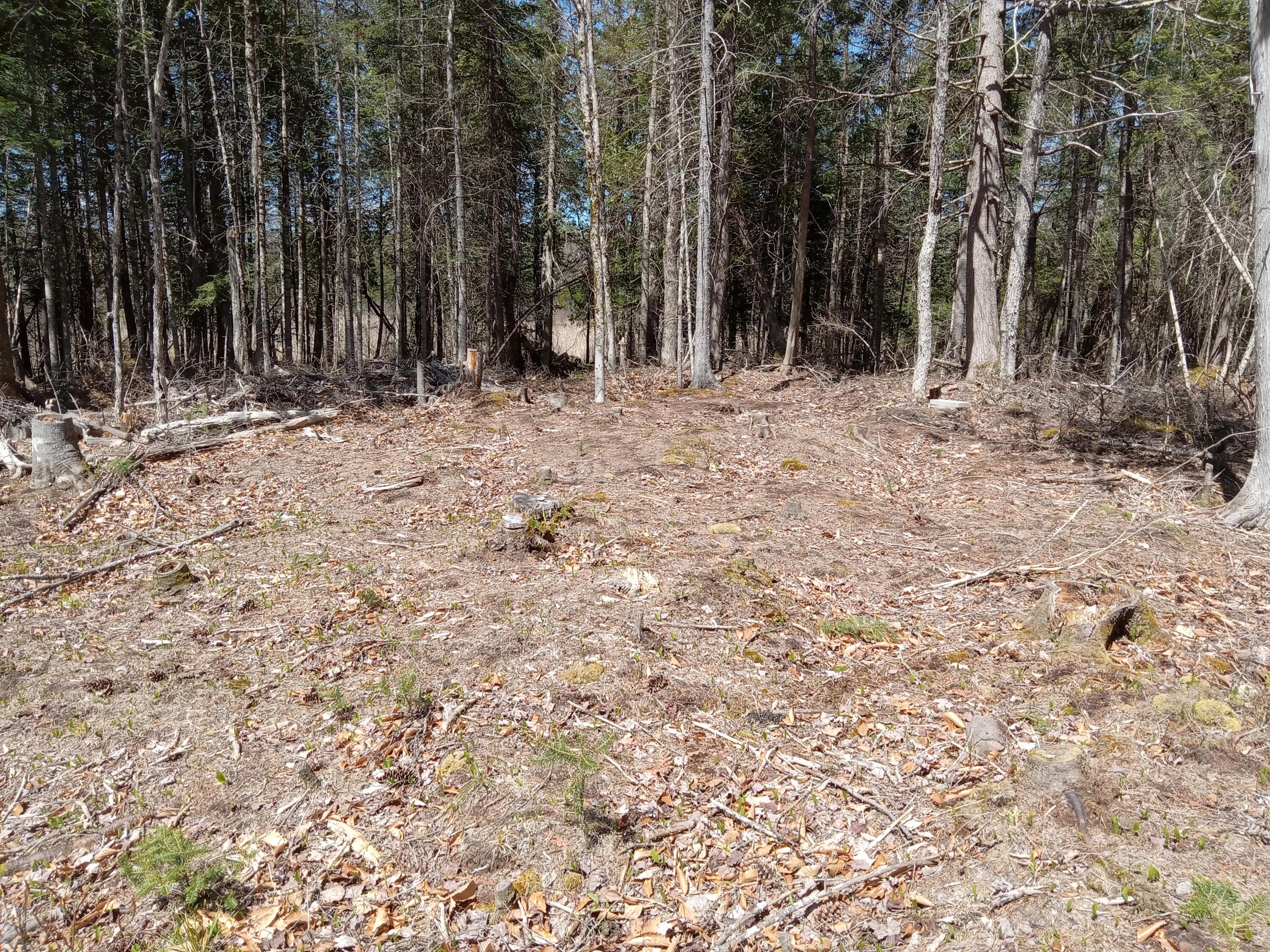 132 Village Road Jackson, ME 04921 - Photo 18 of 43 20240507_140333