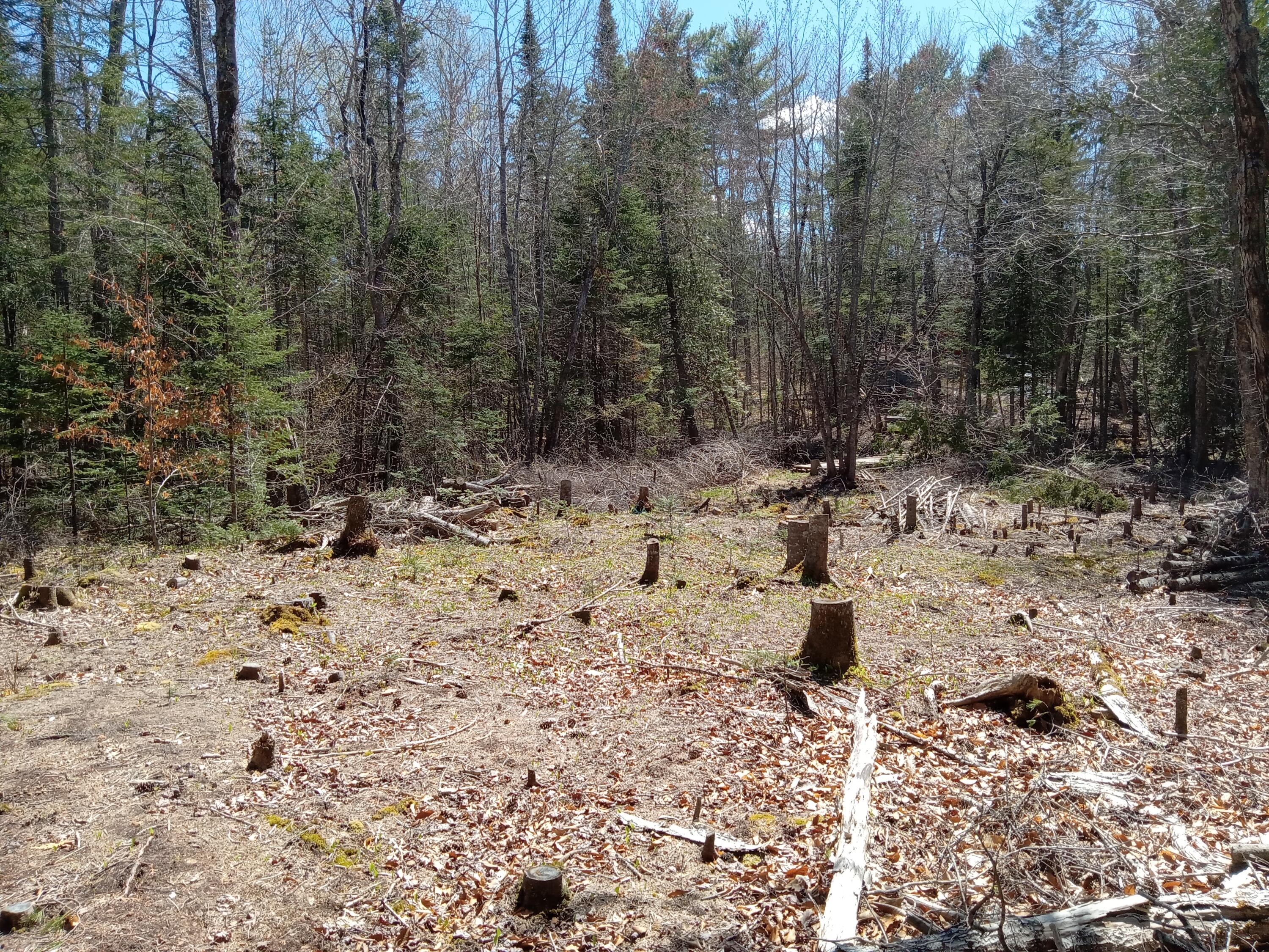 132 Village Road Jackson, ME 04921 - Photo 19 of 43 20240507_140459