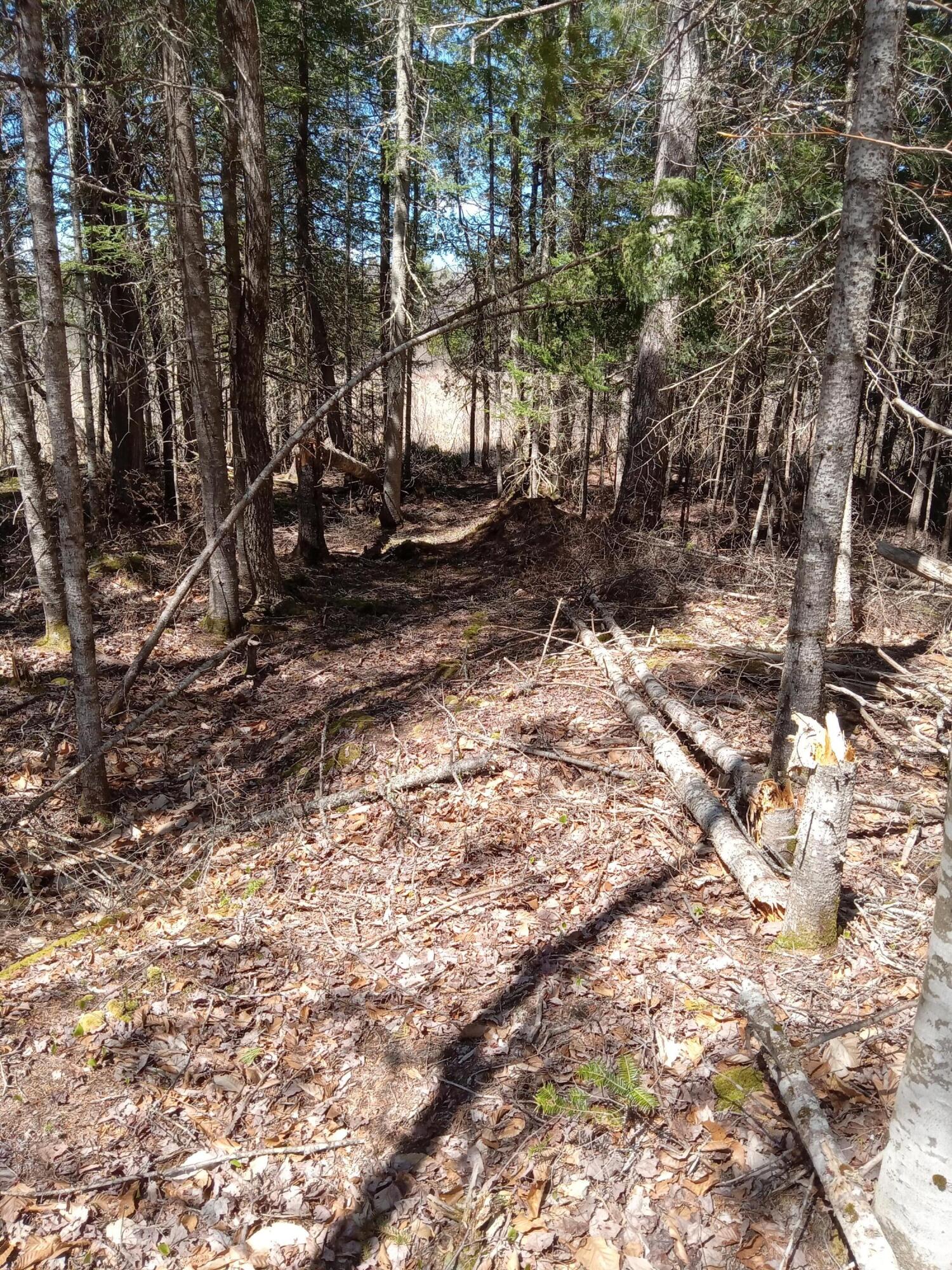 132 Village Road Jackson, ME 04921 - Photo 20 of 43 20240507_140519