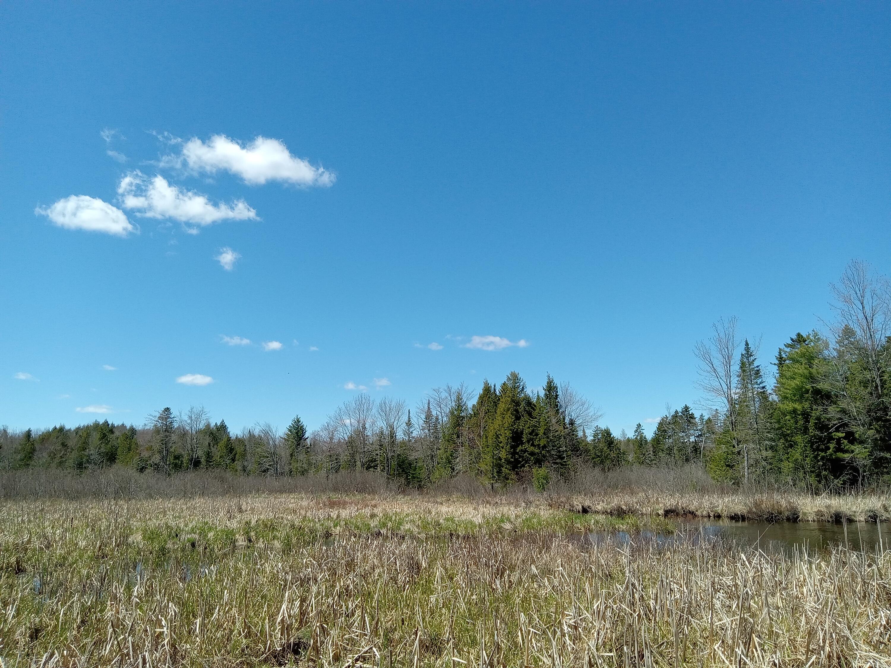 132 Village Road Jackson, ME 04921 - Photo 2 of 43 20240507_132840