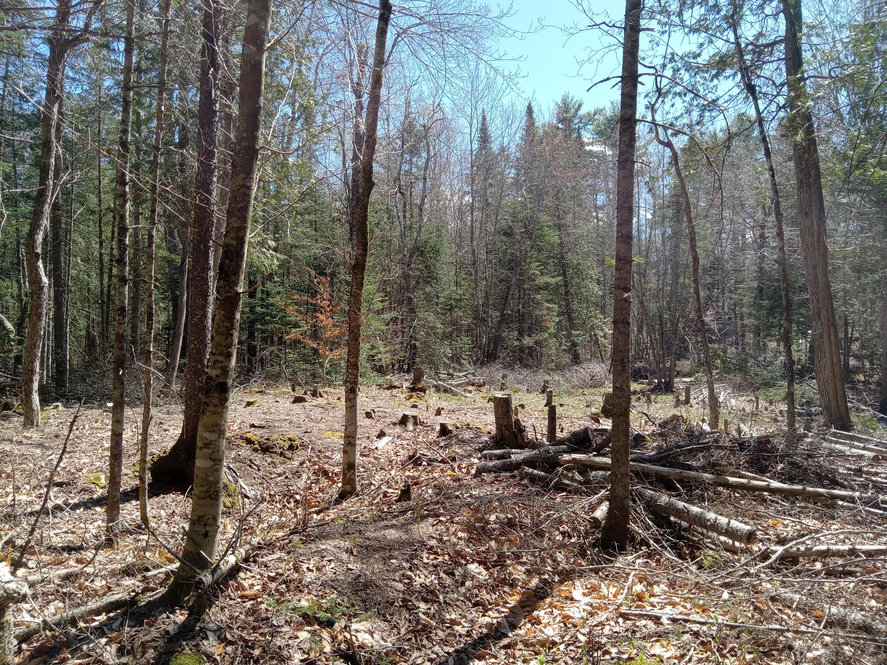 132 Village Road Jackson, ME 04921 - Photo 21 of 43 20240507_140650