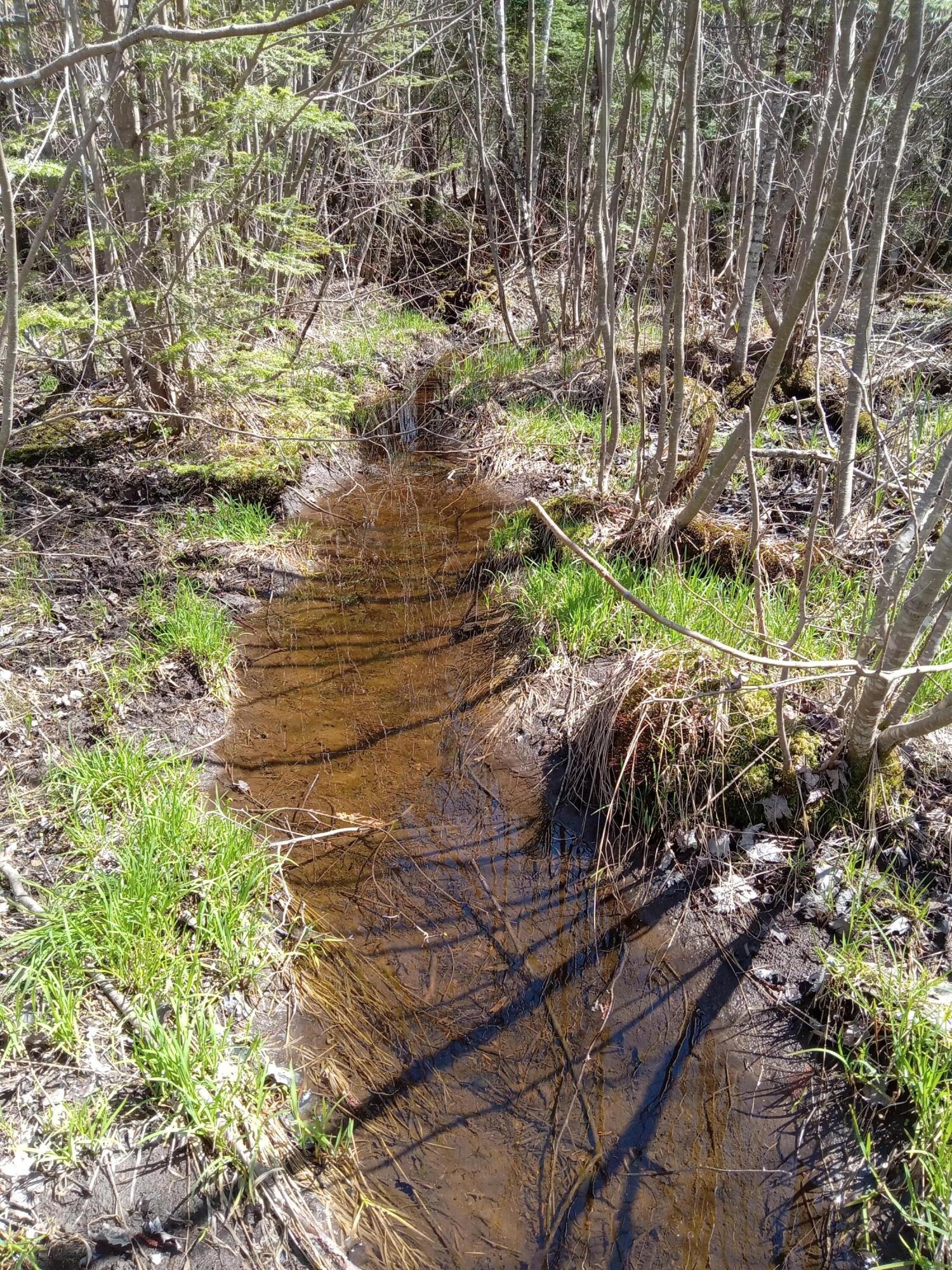 132 Village Road Jackson, ME 04921 - Photo 22 of 43 20240507_141224