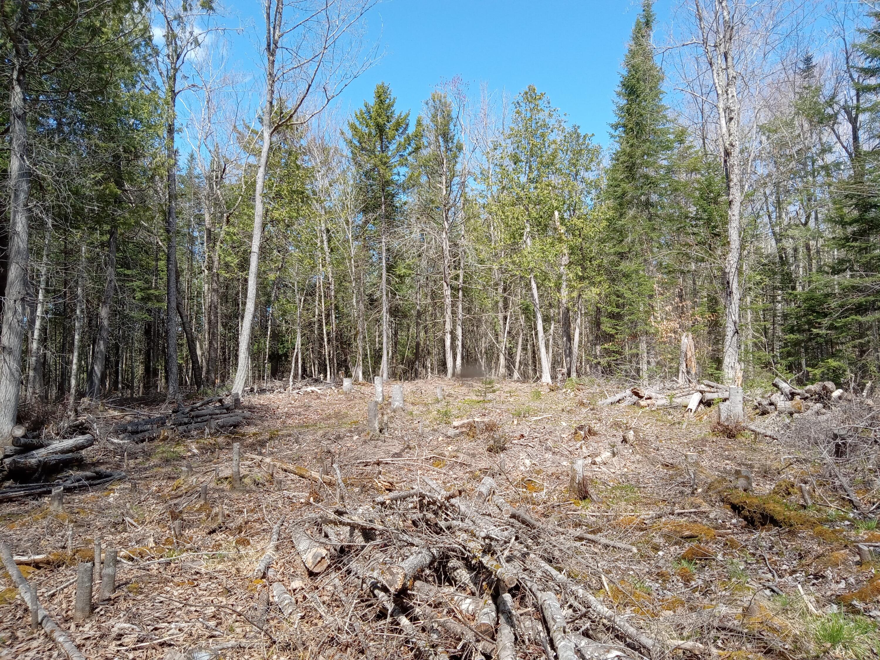 132 Village Road Jackson, ME 04921 - Photo 23 of 43 20240507_142515