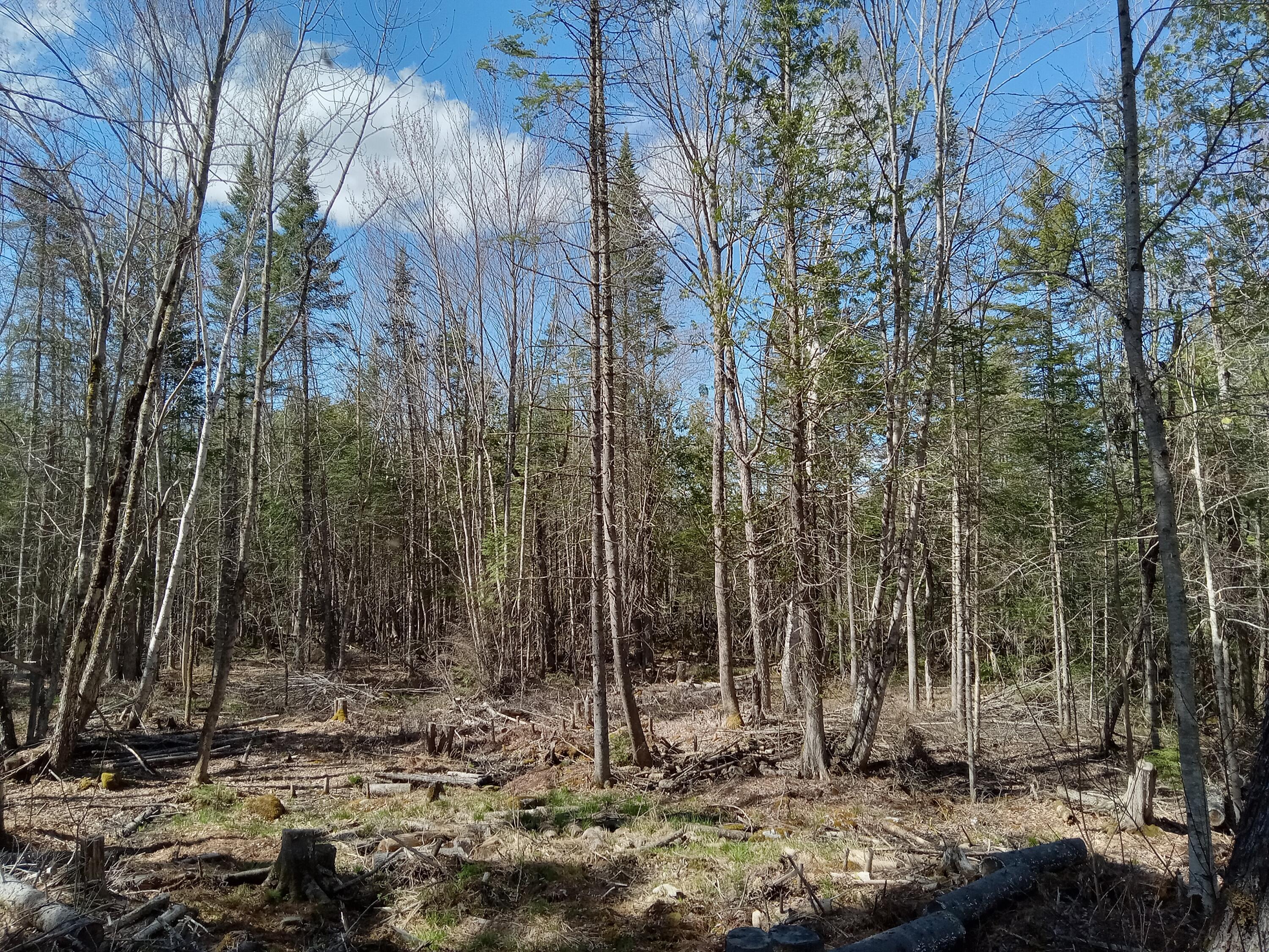 132 Village Road Jackson, ME 04921 - Photo 27 of 43 20240507_151048