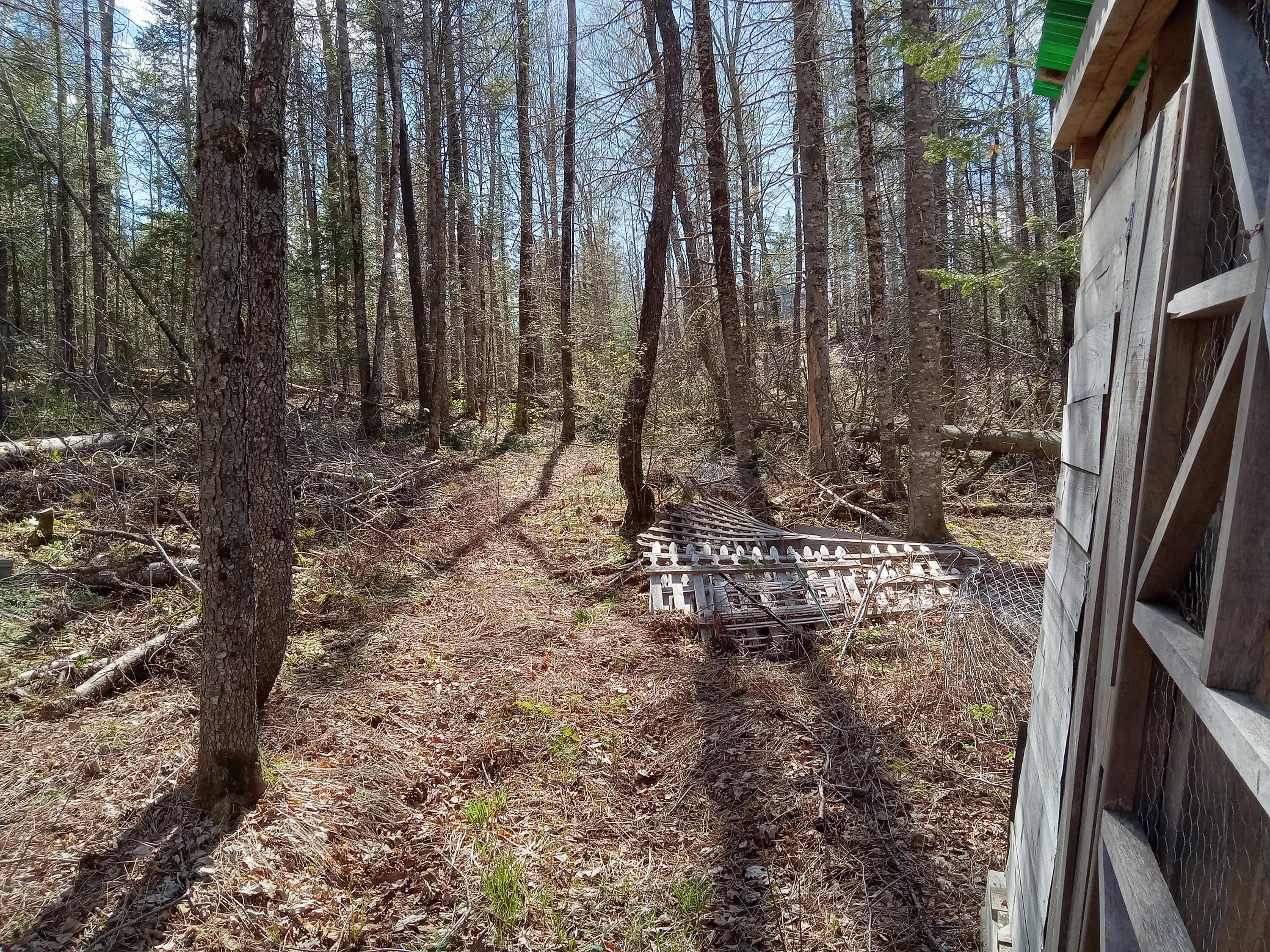 132 Village Road Jackson, ME 04921 - Photo 28 of 43 20240507_151547