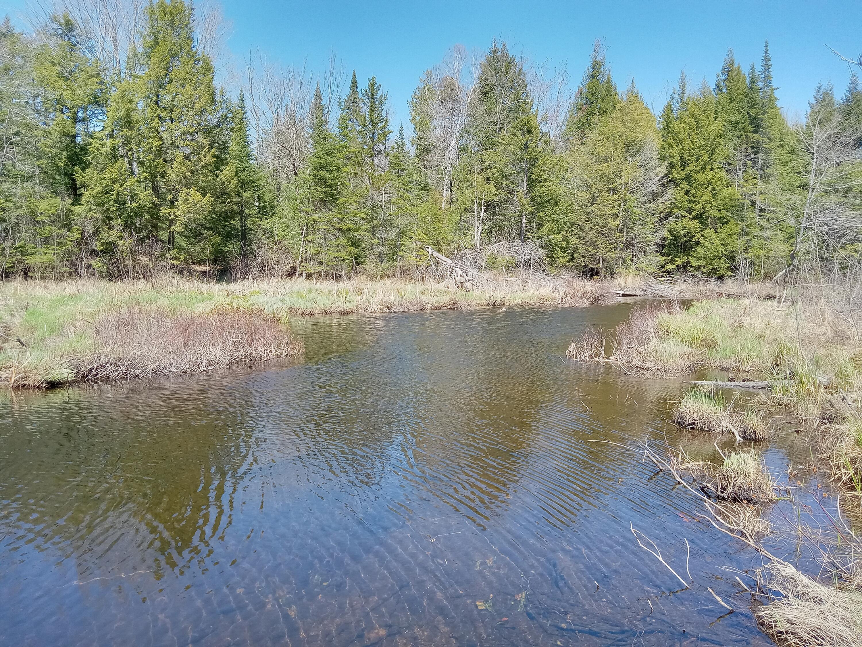 132 Village Road Jackson, ME 04921 - Photo 3 of 43 20240507_133446