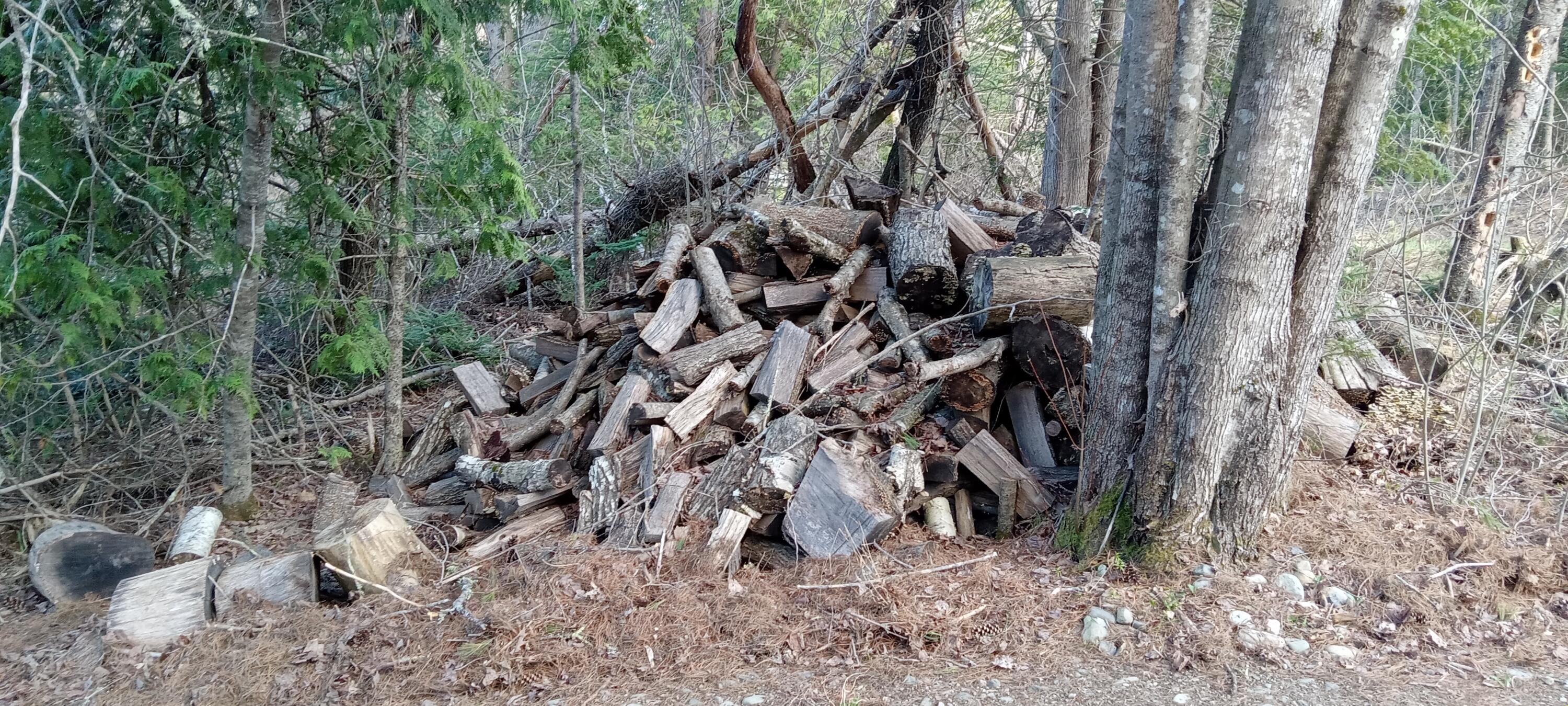 132 Village Road Jackson, ME 04921 - Photo 36 of 43 20240507_153828