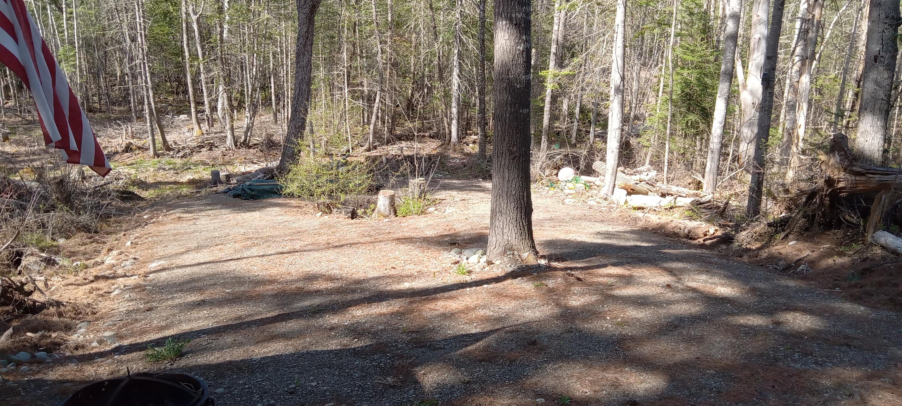 132 Village Road Jackson, ME 04921 - Photo 39 of 43 20240507_153949