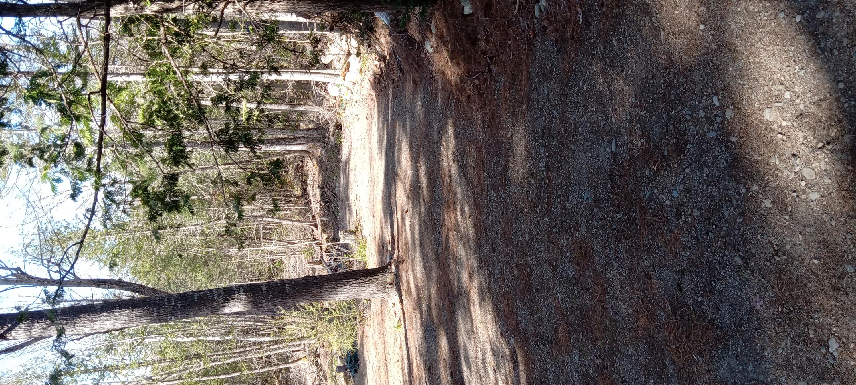 132 Village Road Jackson, ME 04921 - Photo 40 of 43 20240507_154012