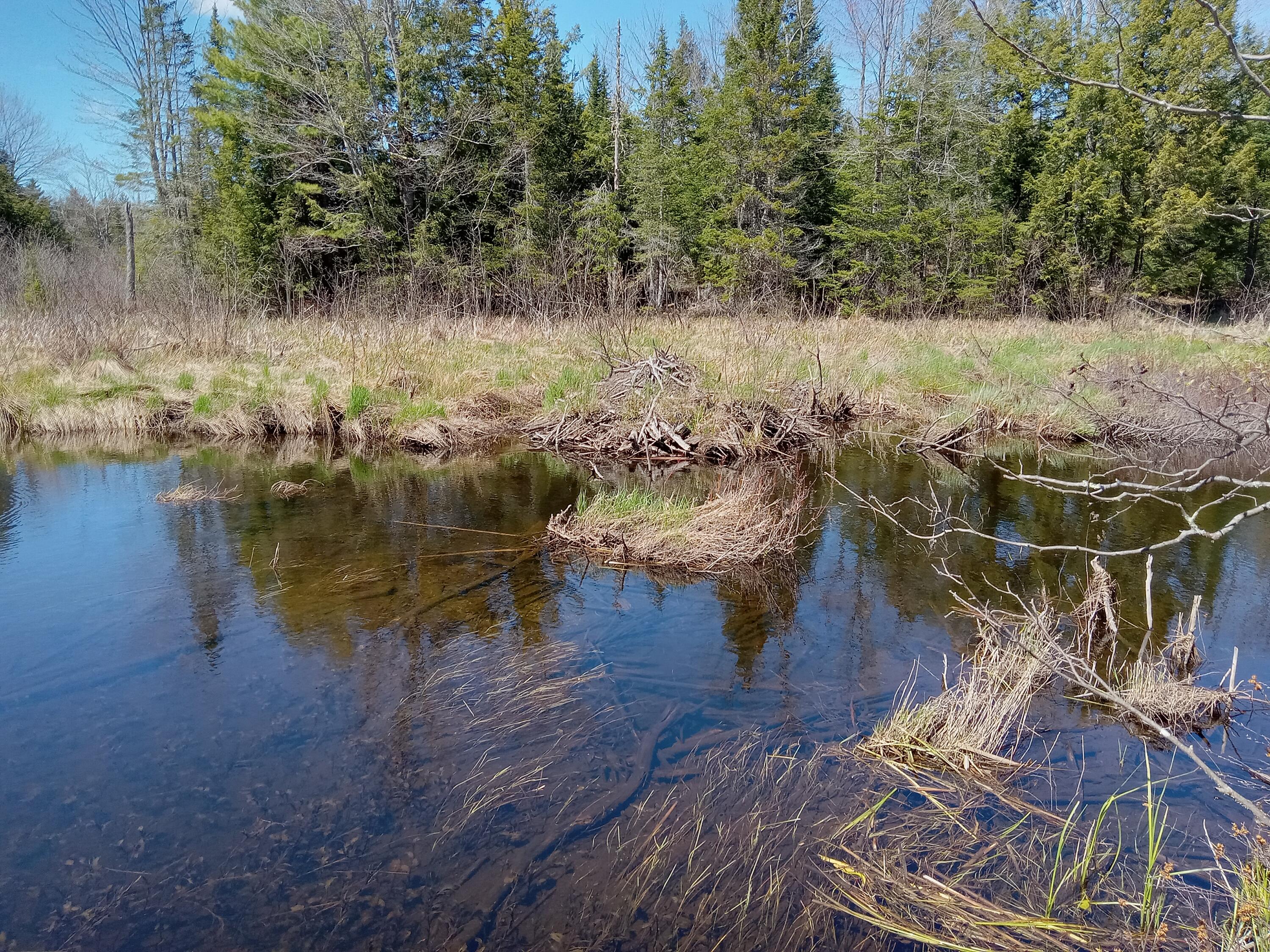 132 Village Road Jackson, ME 04921 - Photo 4 of 43 20240507_133113