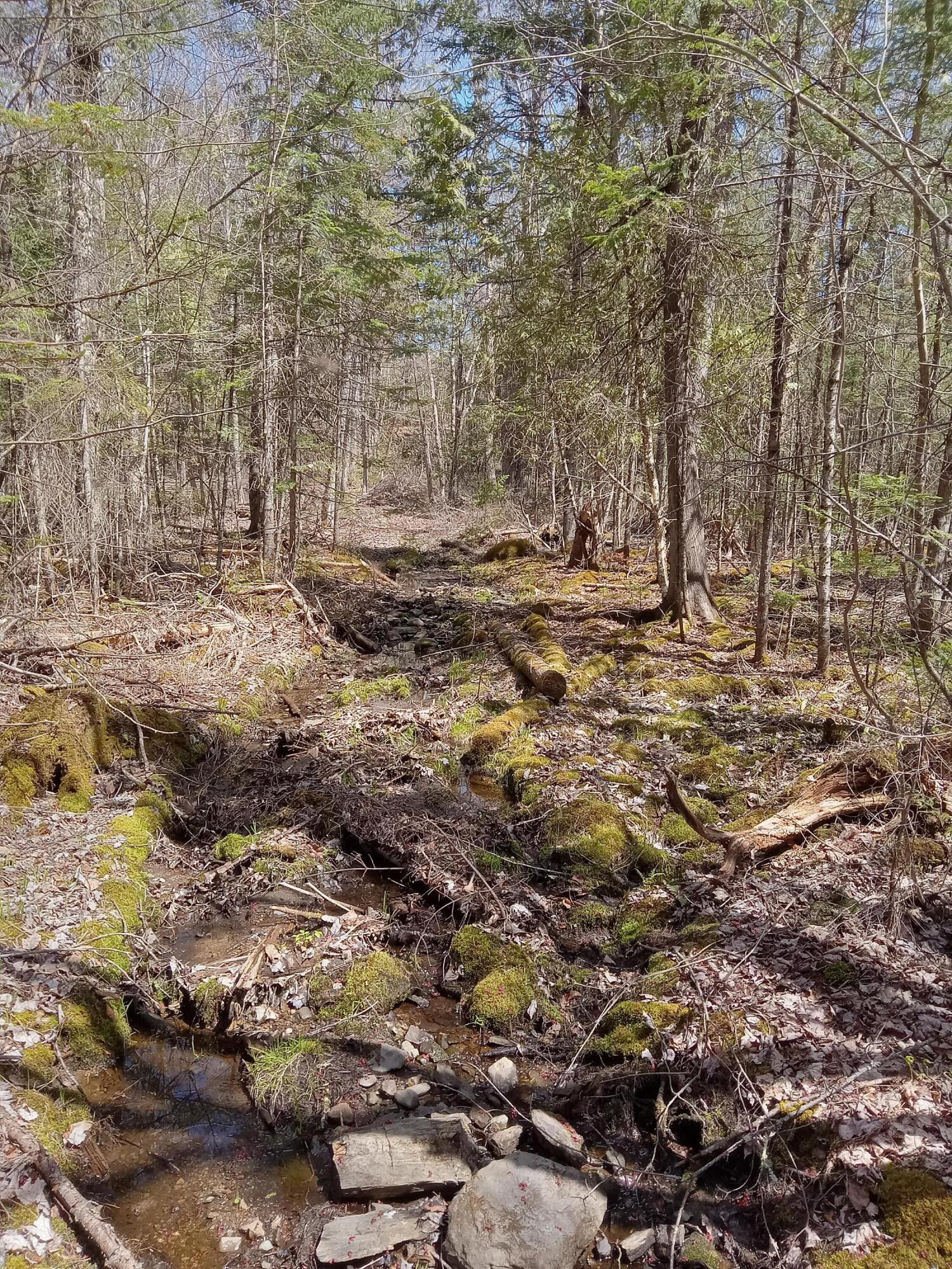 132 Village Road Jackson, ME 04921 - Photo 5 of 43 20240507_132109