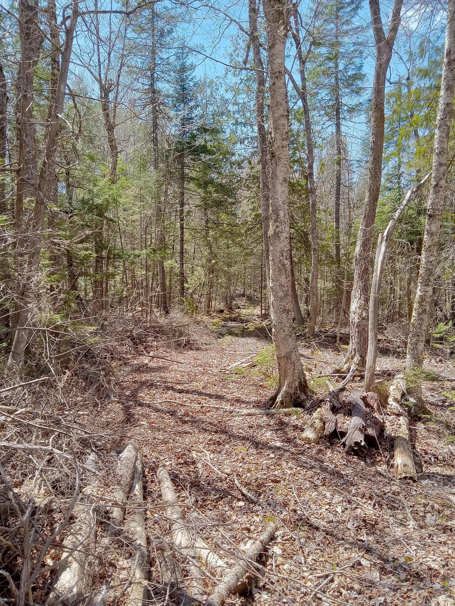 132 Village Road Jackson, ME 04921 - Photo 6 of 43 20240507_132241