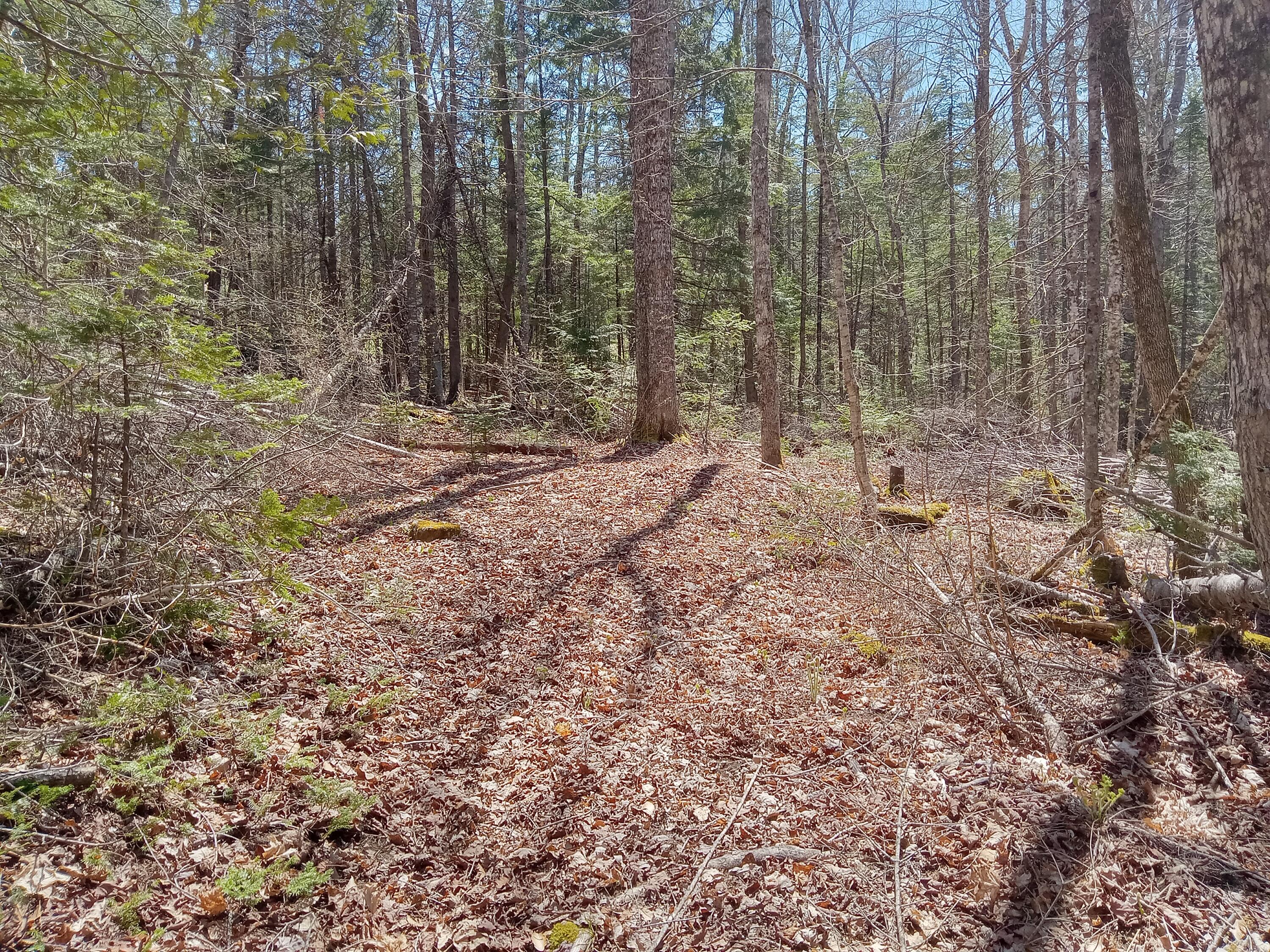 132 Village Road Jackson, ME 04921 - Photo 7 of 43 20240507_132315