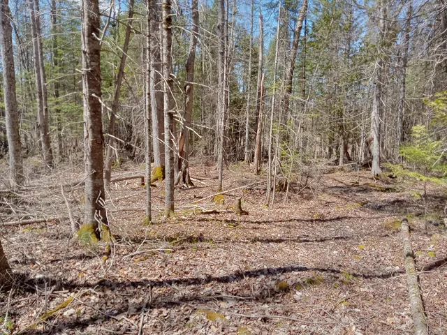 $49,950 | 132 Village Road, Jackson, ME 04921