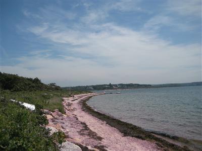 Primary Photo