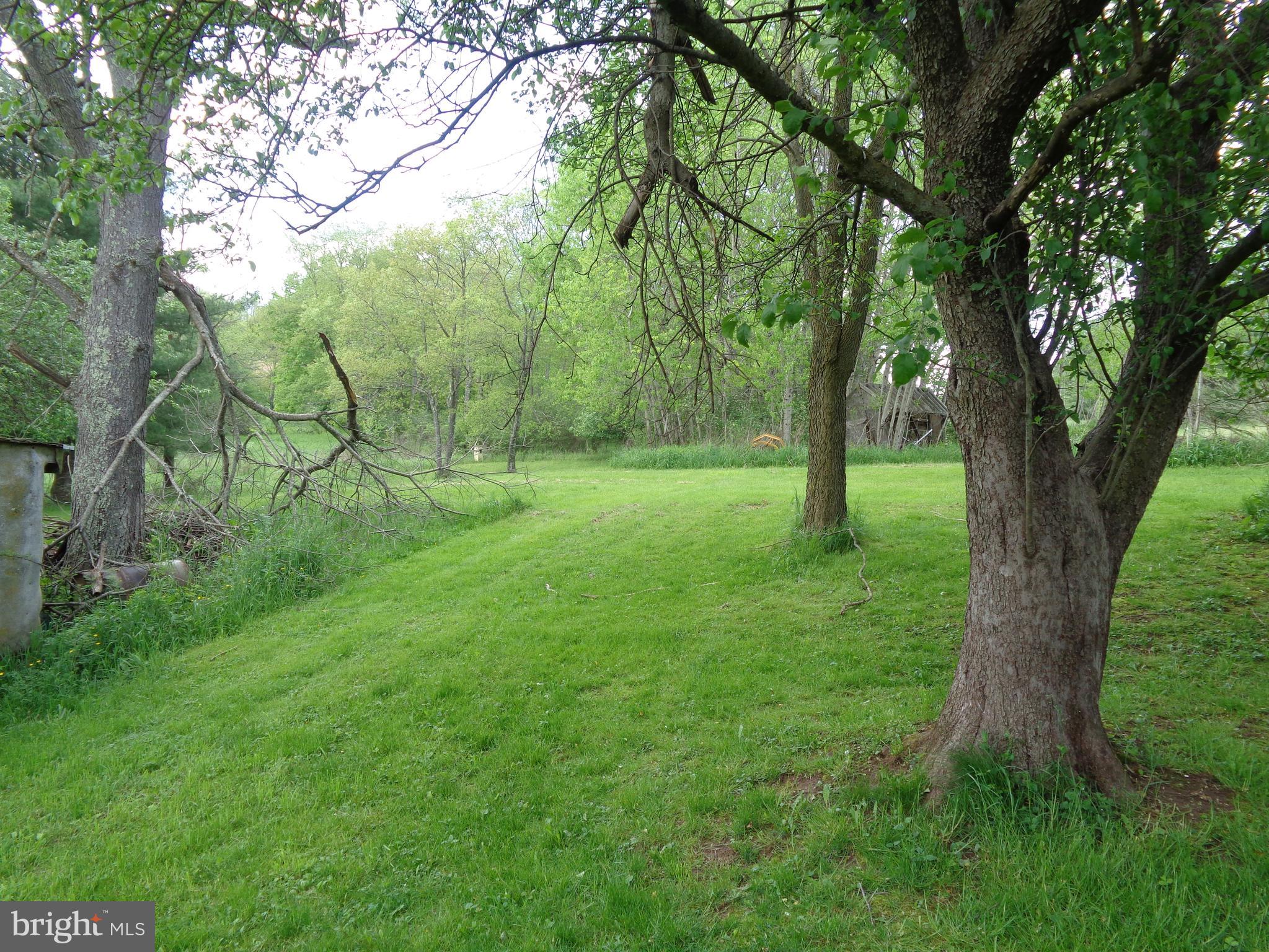 1158 Kings Run Road Oakland, MD 21550 - Photo 5 of 7