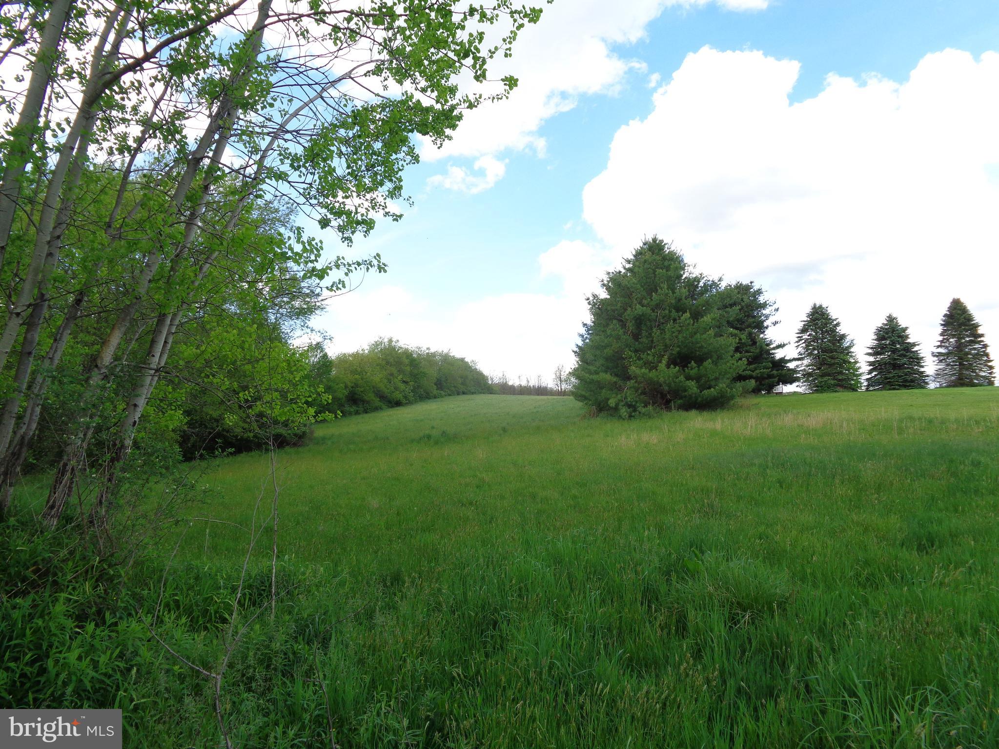 1158 Kings Run Road Oakland, MD 21550 - Photo 6 of 7