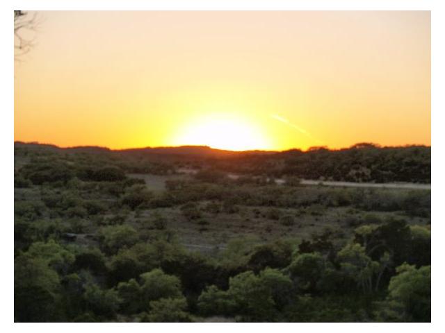 7913 Mt Sharp Road Wimberley, TX 78676 - Photo 1 of 1 a view of a city with lush green forest