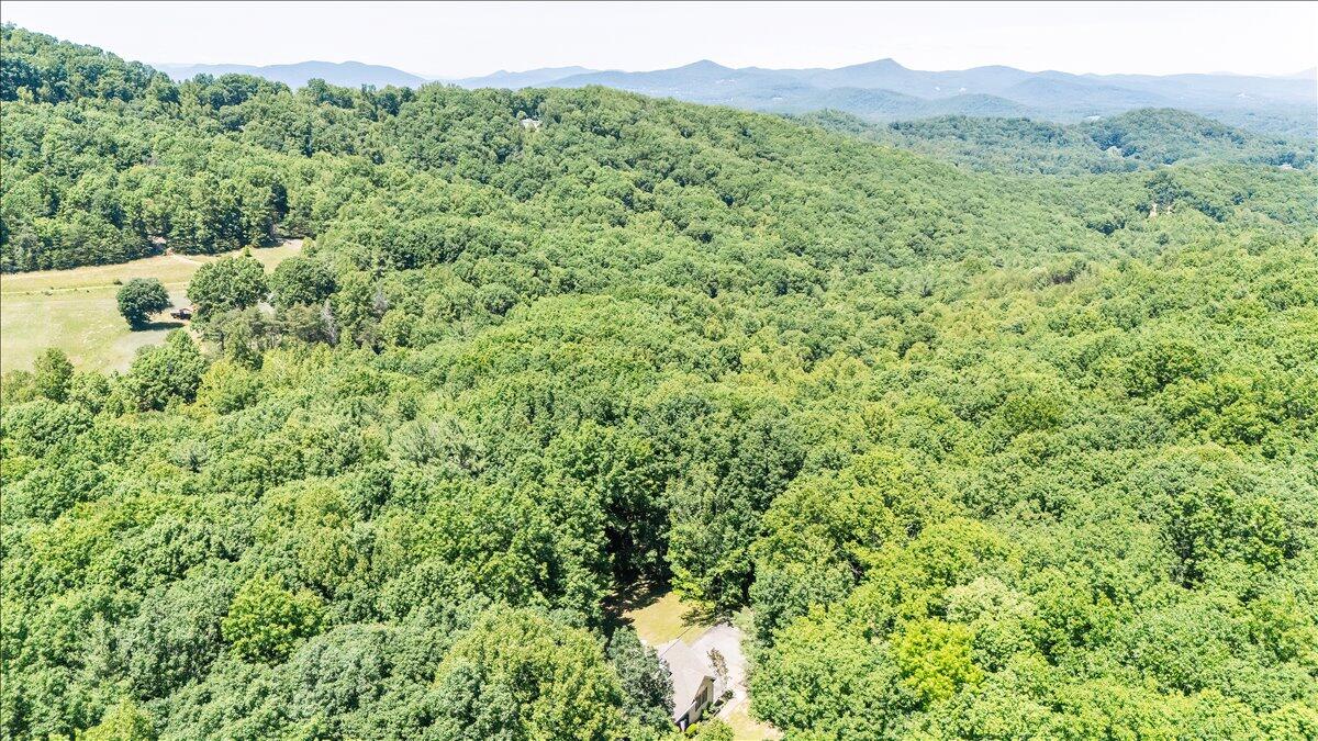 375 Silver Shadow Road Hardy, VA 24101 - Photo 47 of 47 74-DJI_20260604142401_0029_D