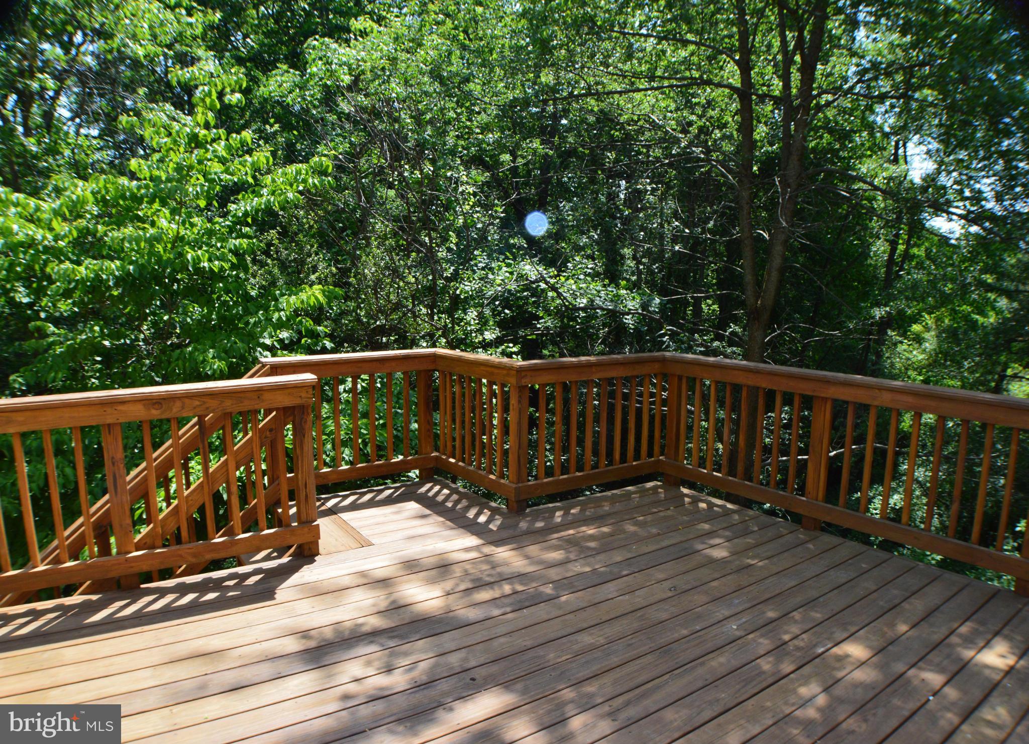 11950 Sentinel Point Court Reston, VA 20191 - Photo 25 of 30 Exterior (Rear)