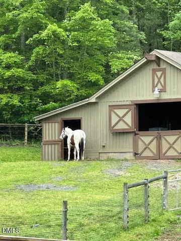 a view of a yard with a large trees