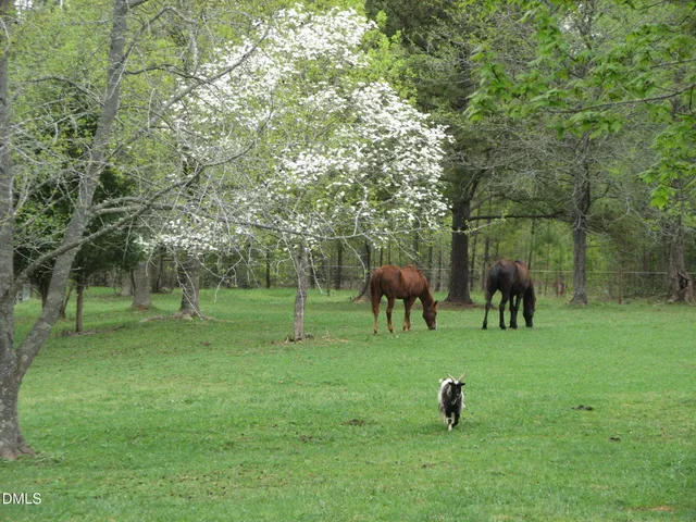 $1,275,000 | 291 Meadow View Drive, Moncure, NC 27559