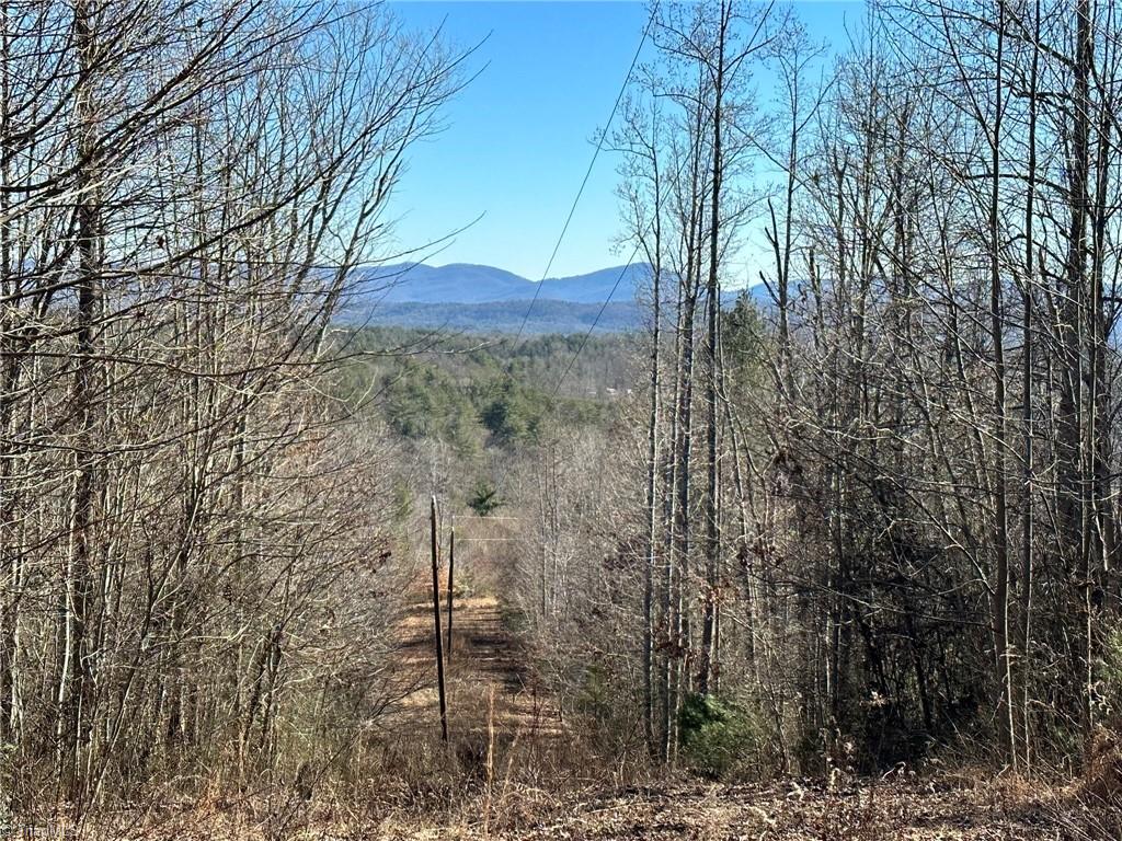 0 Hamby Mountain Road Purlear, NC 28665 - Photo 1 of 25 Gallery Image 1