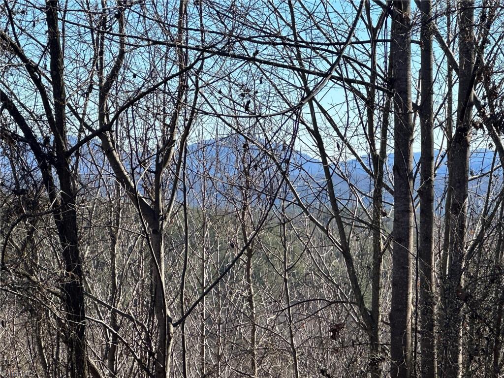0 Hamby Mountain Road Purlear, NC 28665 - Photo 13 of 25 Gallery Image 13