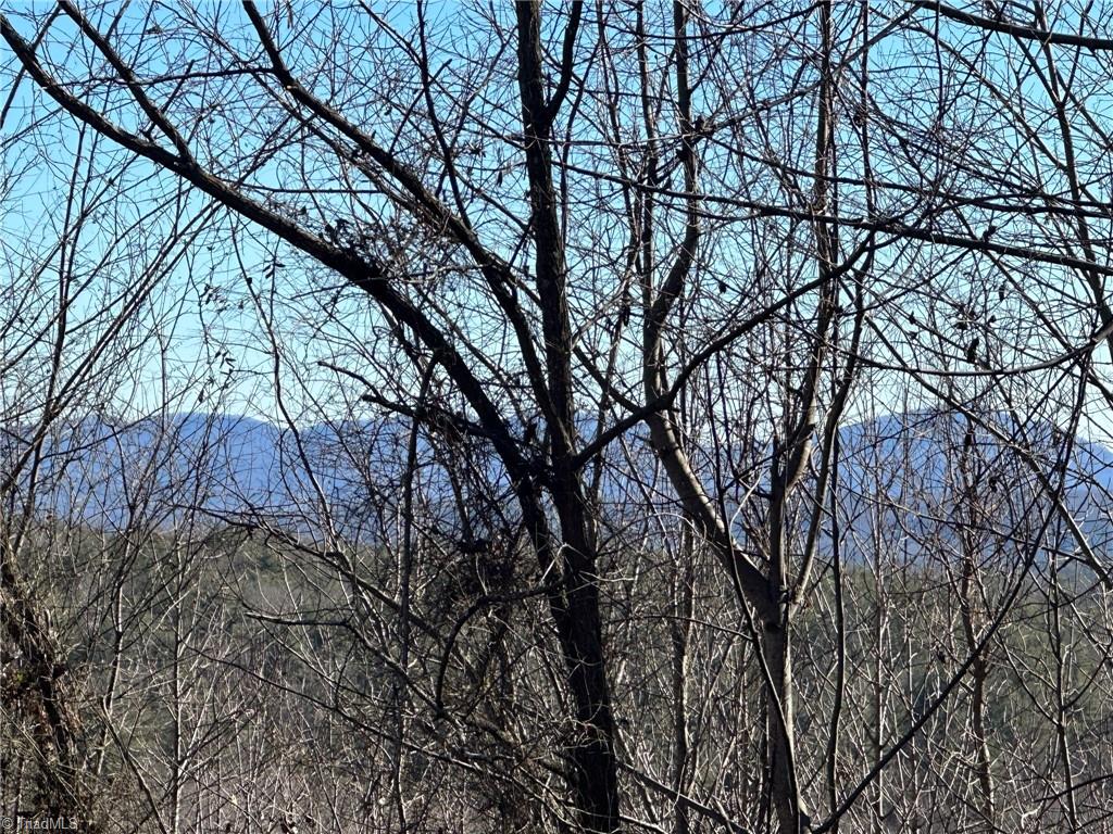 0 Hamby Mountain Road Purlear, NC 28665 - Photo 14 of 25 Gallery Image 14