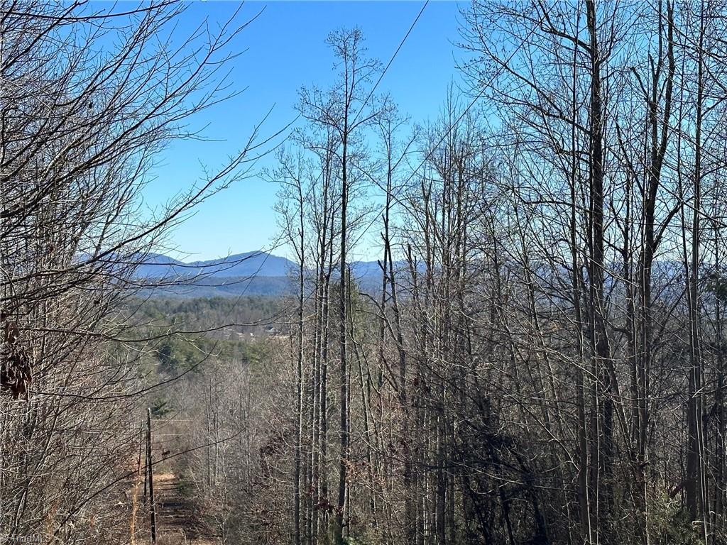 0 Hamby Mountain Road Purlear, NC 28665 - Photo 15 of 25 Gallery Image 15