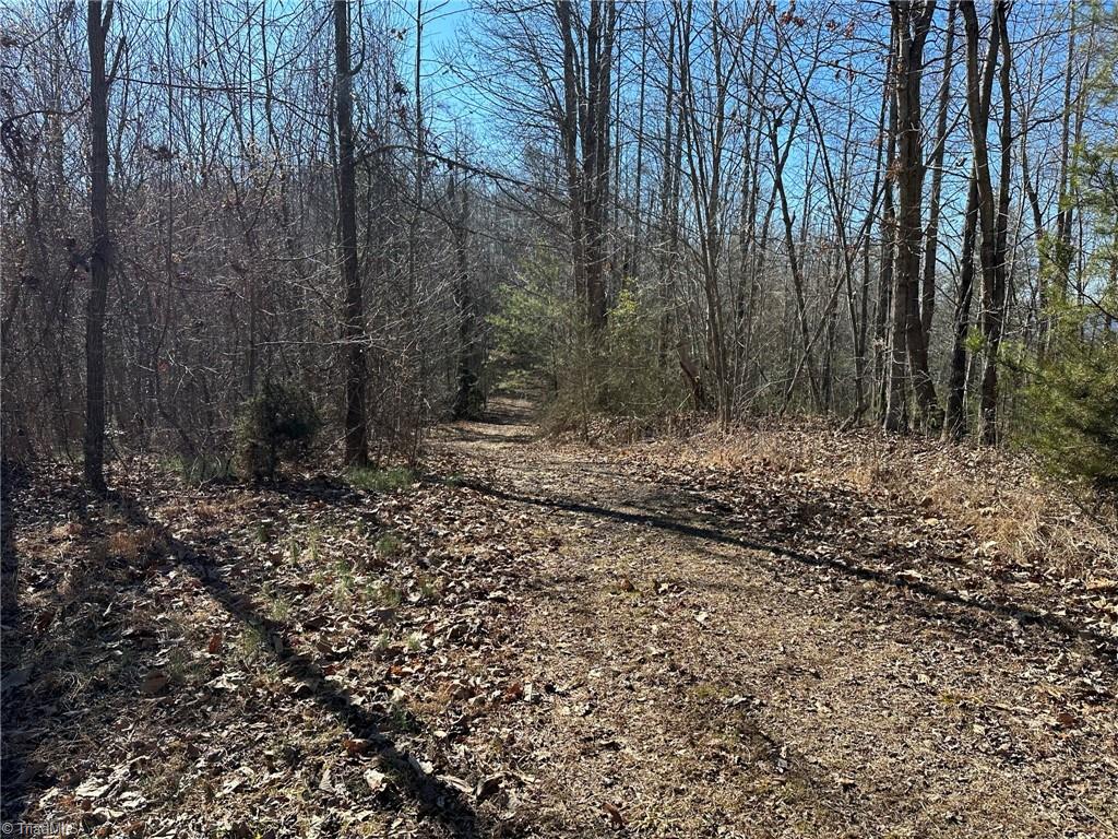 0 Hamby Mountain Road Purlear, NC 28665 - Photo 17 of 25 Gallery Image 17