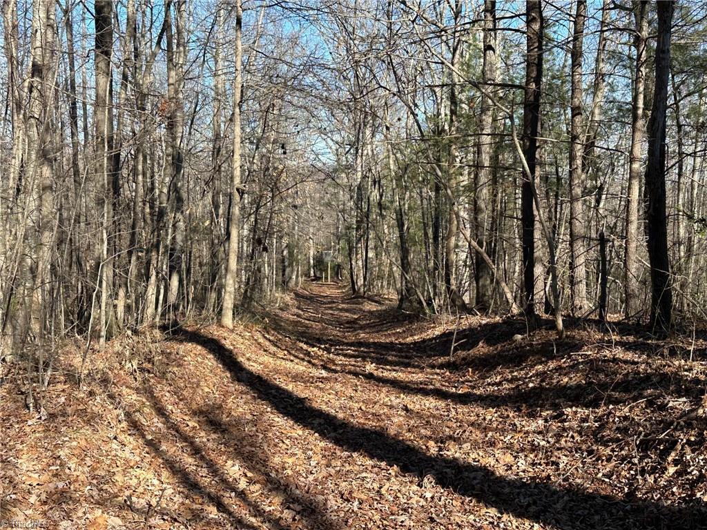 0 Hamby Mountain Road Purlear, NC 28665 - Photo 19 of 25 Gallery Image 19