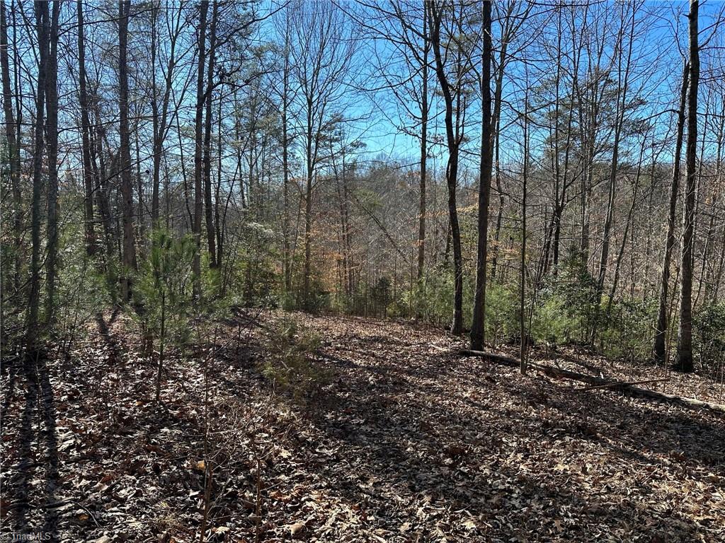 0 Hamby Mountain Road Purlear, NC 28665 - Photo 2 of 25 Gallery Image 2