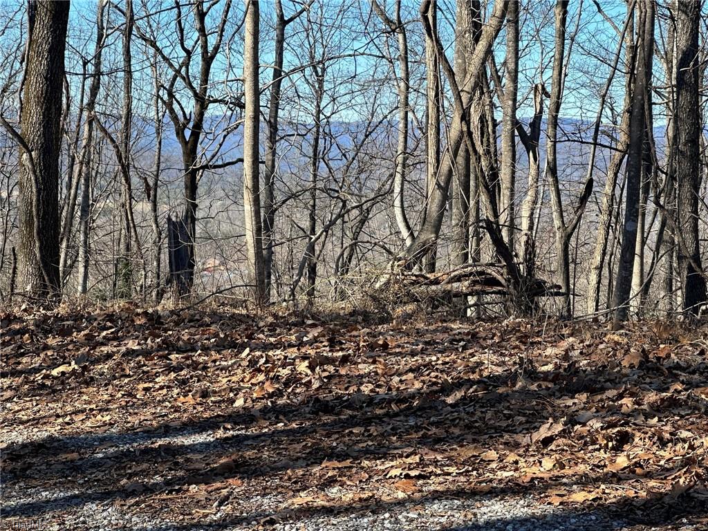 0 Hamby Mountain Road Purlear, NC 28665 - Photo 21 of 25 Gallery Image 21