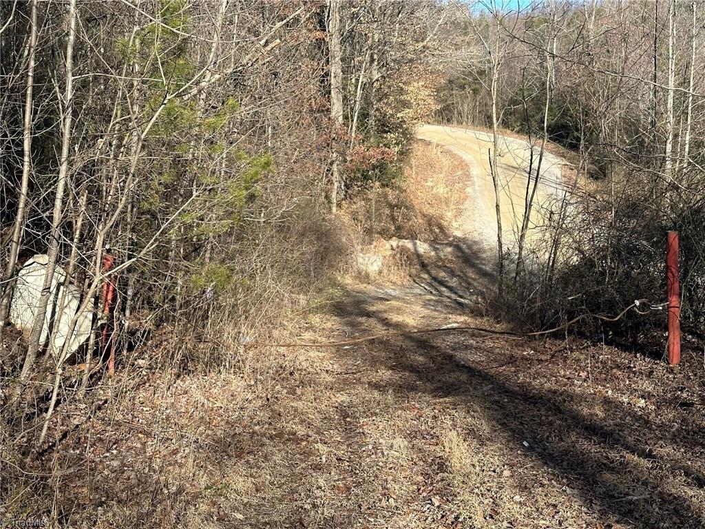 0 Hamby Mountain Road Purlear, NC 28665 - Photo 24 of 25 Gallery Image 24
