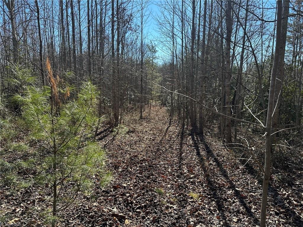 0 Hamby Mountain Road Purlear, NC 28665 - Photo 5 of 25 Gallery Image 5