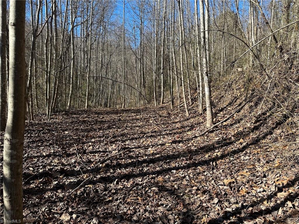 0 Hamby Mountain Road Purlear, NC 28665 - Photo 6 of 25 Gallery Image 6