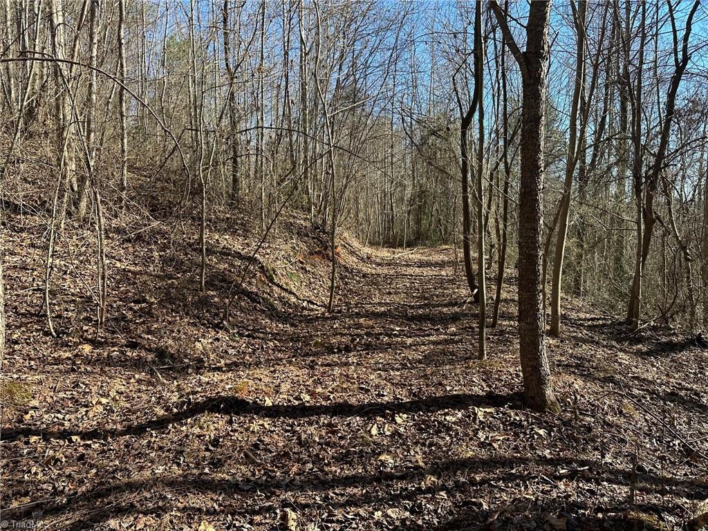 0 Hamby Mountain Road Purlear, NC 28665 - Photo 7 of 25 Gallery Image 7