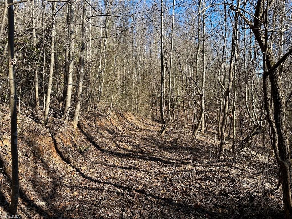 0 Hamby Mountain Road Purlear, NC 28665 - Photo 8 of 25 Gallery Image 8