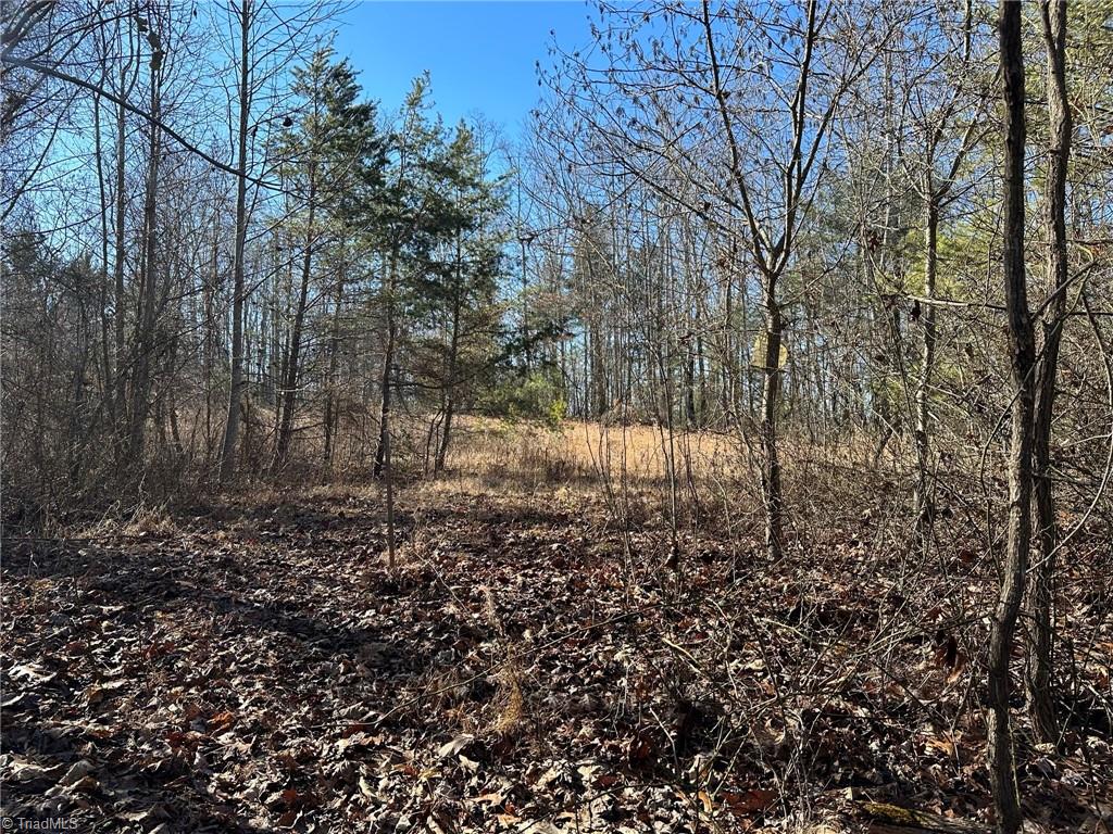 0 Hamby Mountain Road Purlear, NC 28665 - Photo 10 of 25 Gallery Image 10