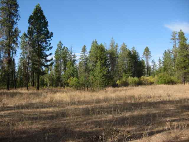 4332 Cemetery Road Springdale, WA 99173 - Photo 8 of 9