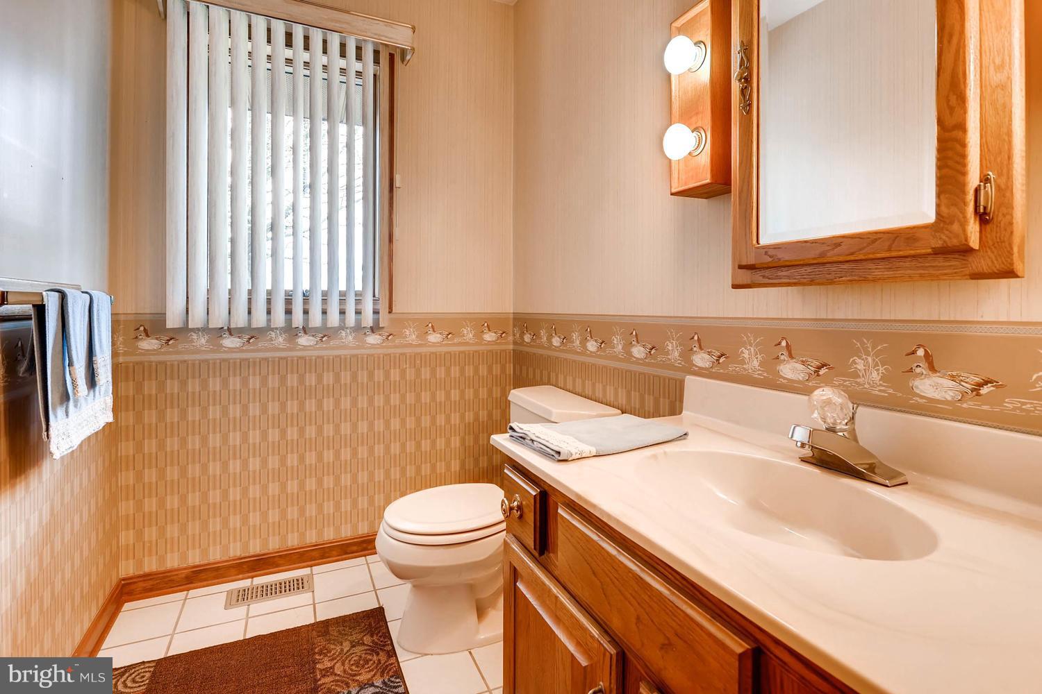 14000 Baldwin Mill Road Baldwin, MD 21013 - Photo 15 of 28 a bathroom with a sink and a toilet