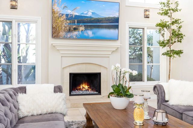 a living room with furniture a fireplace and a potted plant