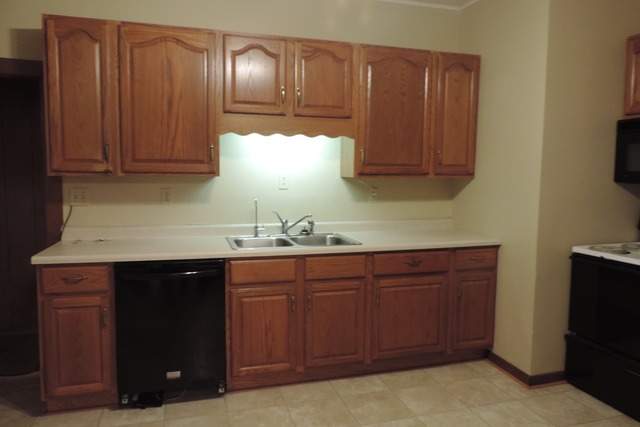 29448 Quigley Road Manhattan, IL 60442 - Photo 7 of 11 a kitchen with granite countertop wooden cabinets and a sink