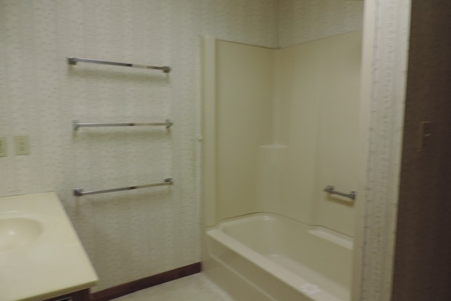 29448 Quigley Road Manhattan, IL 60442 - Photo 10 of 11 a bathroom with a tub